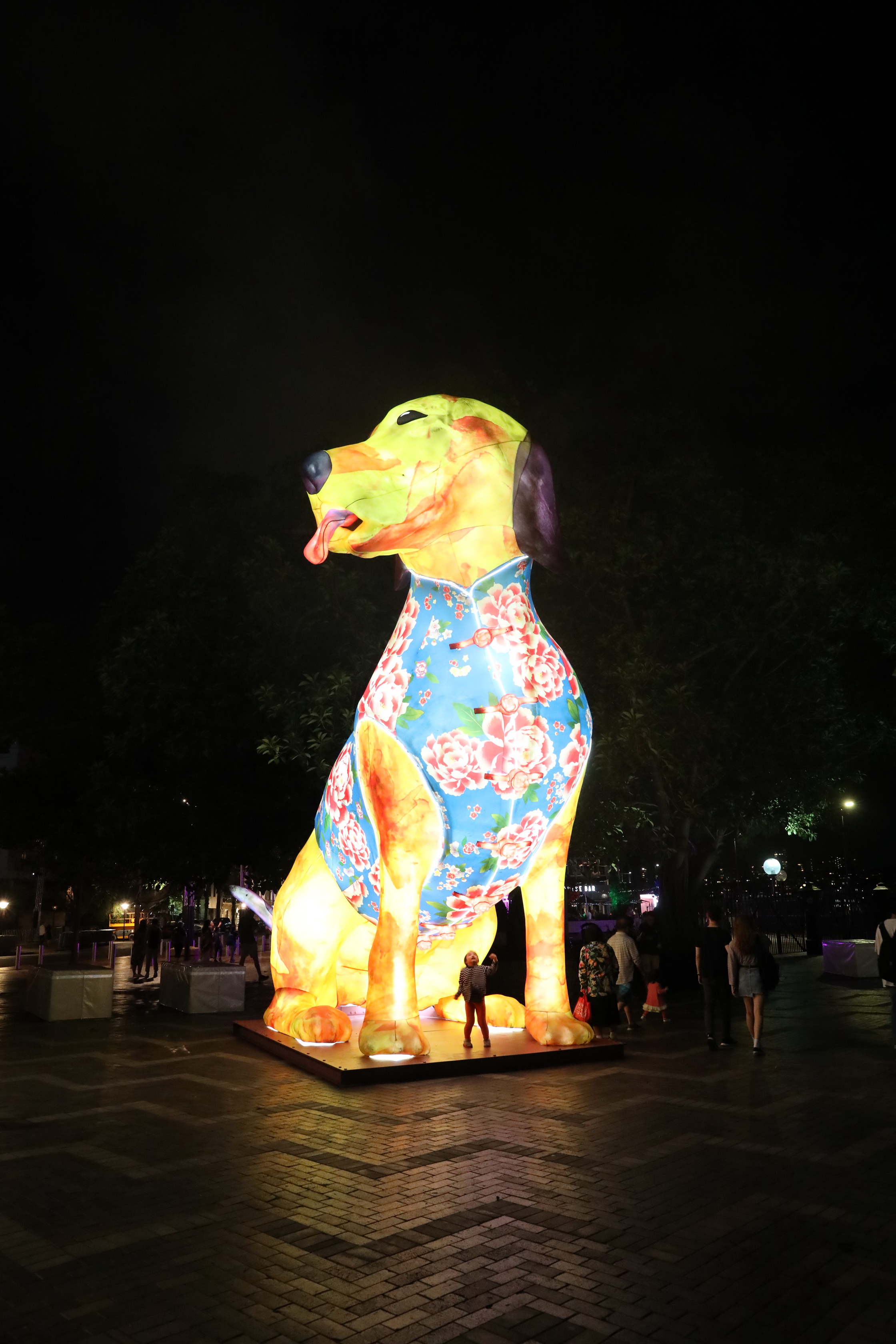 2020 01 30 20 50 28 Canon EOS 5D Mark IV 0039